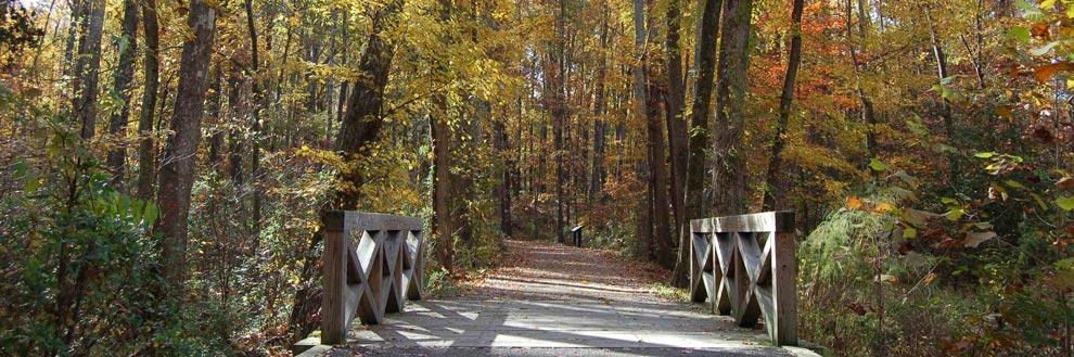 Unearthing the Legacy of America’s First Coal Miners at Midlothian Mines Park