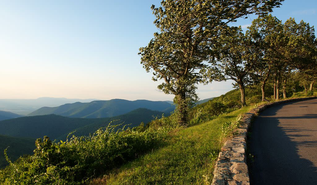 Skyline Drive offers a picturesque journey through Virginia's natural beauty.