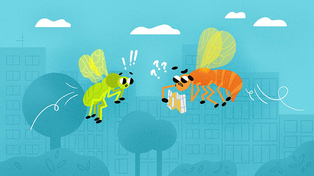 Flying Pests 101: How to Tell Apart Fungus Gnats, Fruit Flies, and Drain Flies