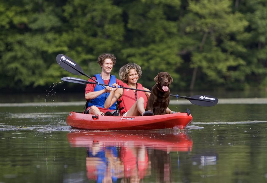 Embrace the Season: Top Fall Activities at Pocahontas State Park