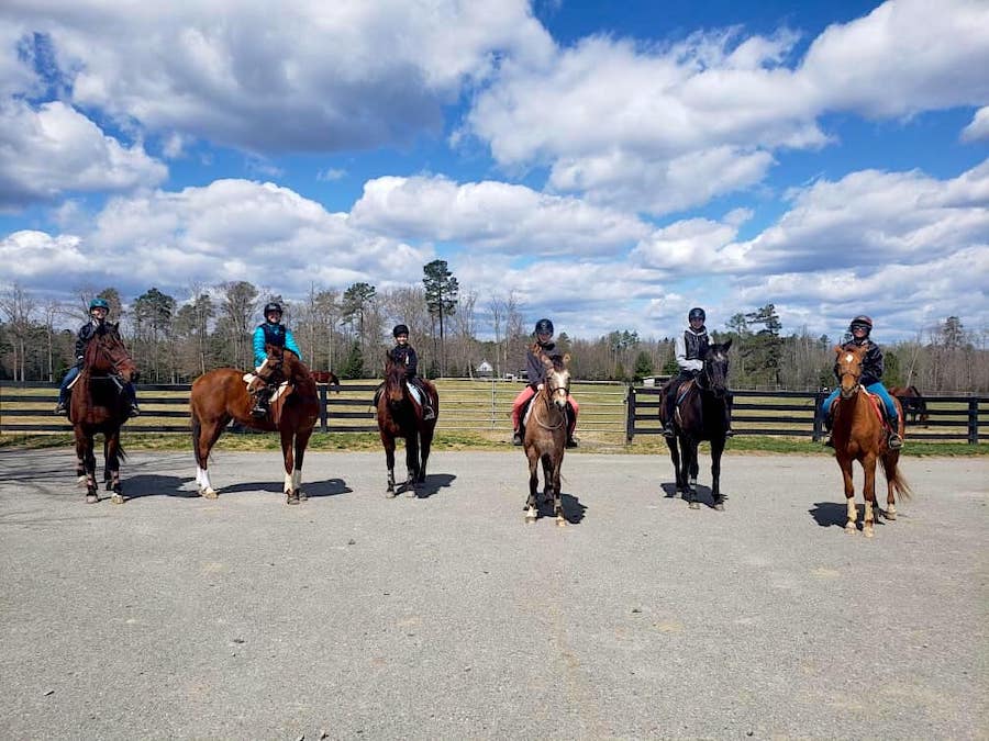 Navigate through the booking options at Redbird Equestrian with ease.