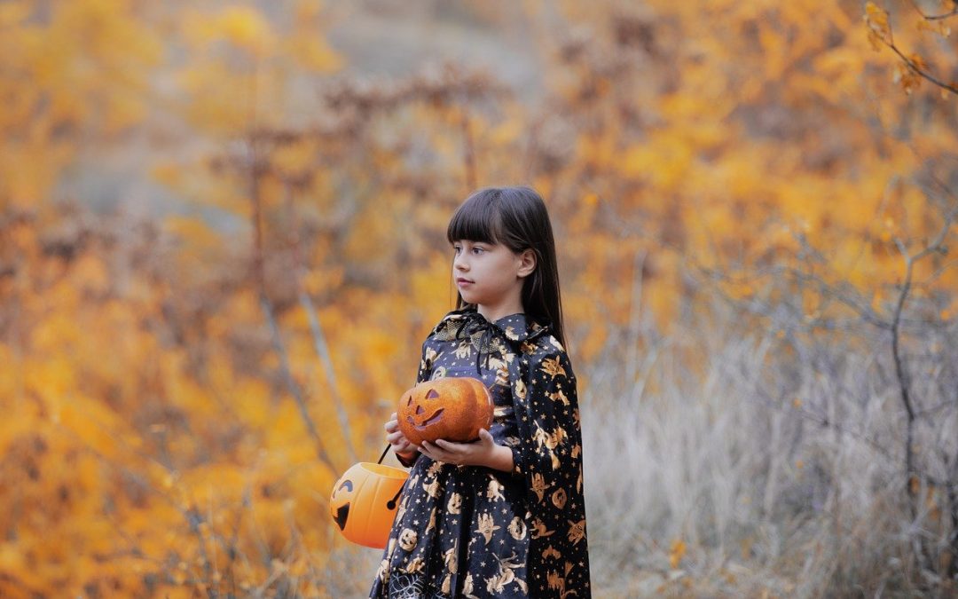 Halloween Fun for Tots: A Guide to Romp n’ Roll’s Spooky Activities