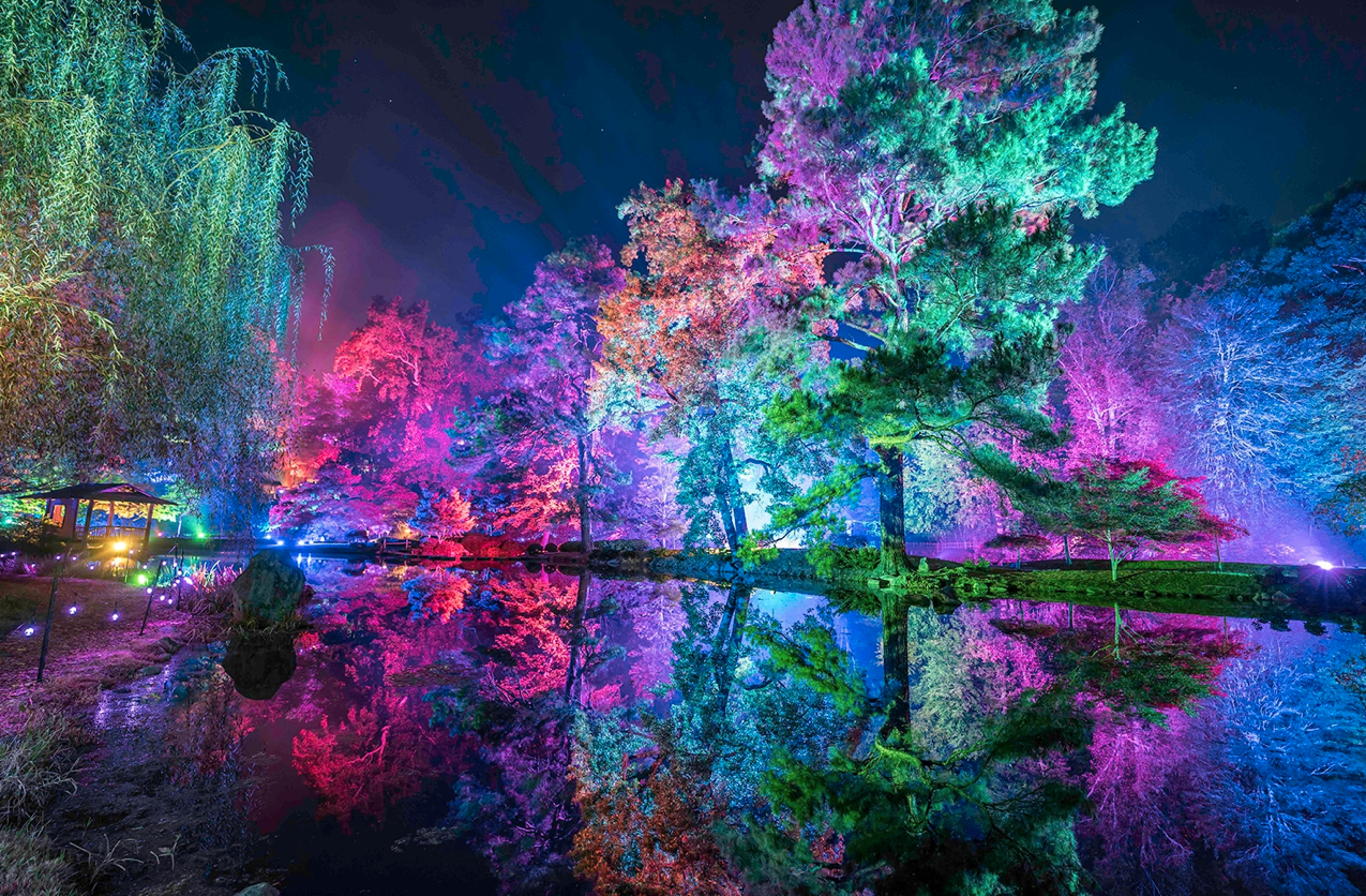 glowing trees in virginia