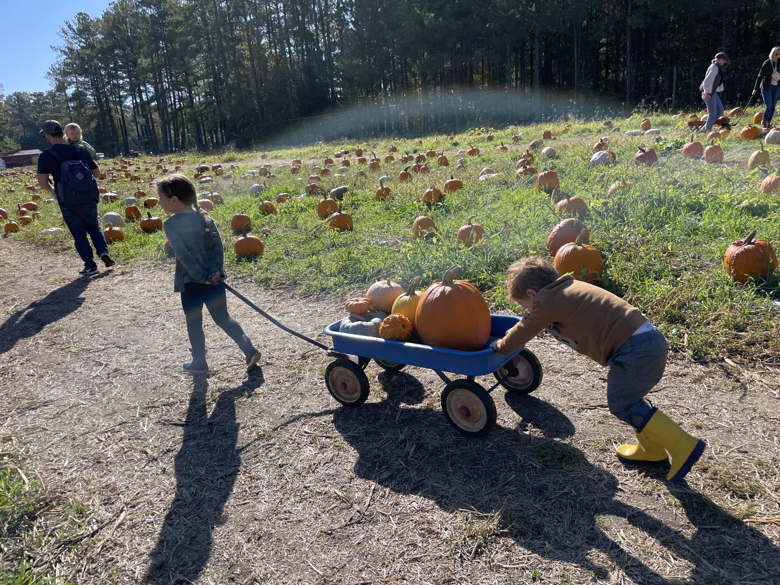 A community guide highlighting fall events and festivals across Midlothian and Chesterfield.