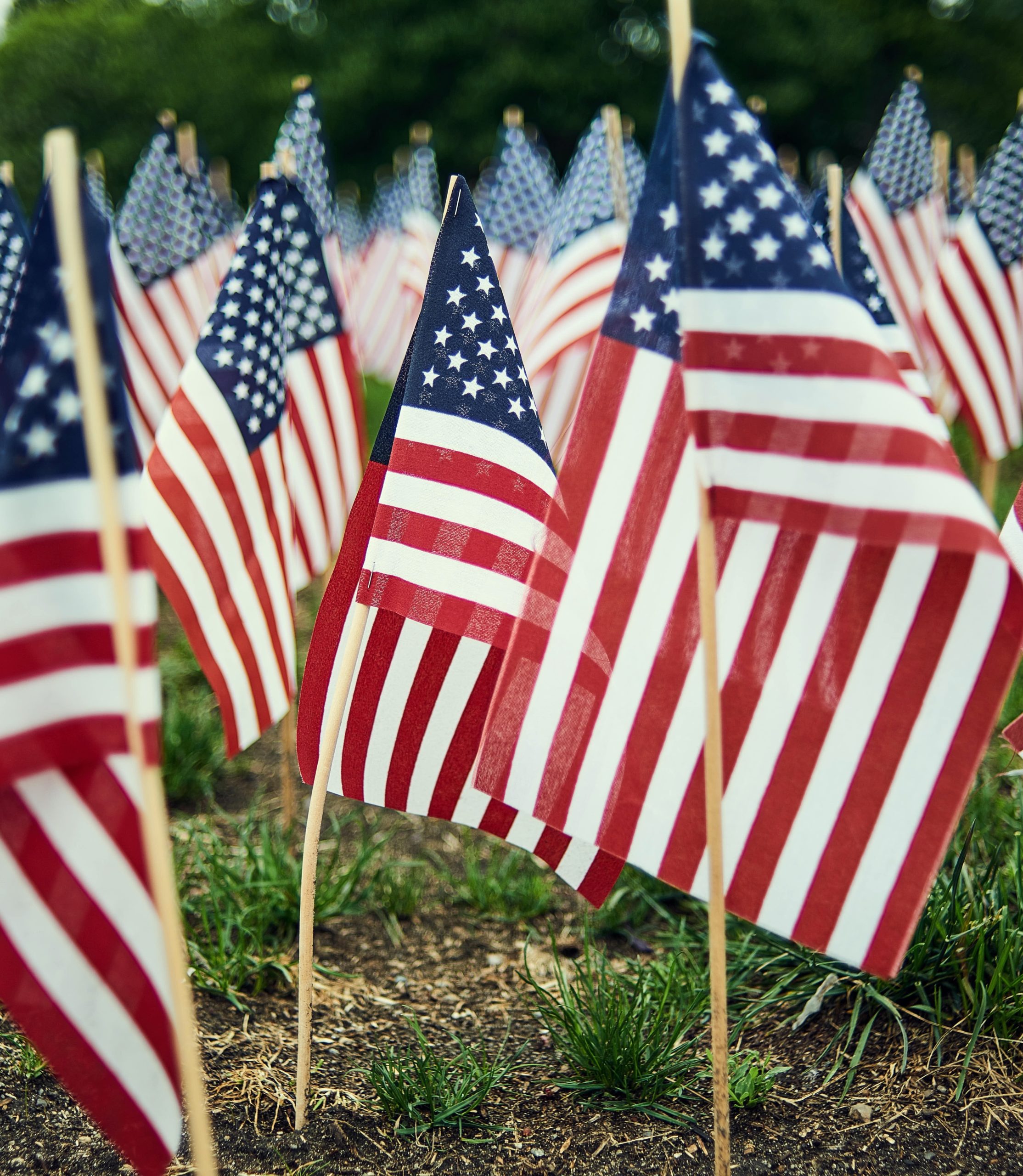 Students participating in Medal of Honor Society activities to learn about character and service for Veterans Day.